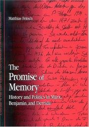 Cover of The Promise of Memory by Matthias Fritsch