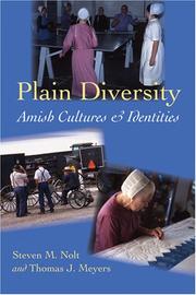 Cover of Plain diversity by Steven M. Nolt