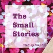 Cover of The Small Stories by Hadley Stanfill