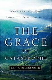 Front cover of The Grace of Catastrophe by Jan Winebrenner
