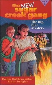 Front cover of The big bike mystery by Pauline Hutchens Wilson