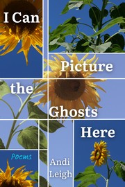 Cover of I Can Picture the Ghosts Here by Andi Leigh