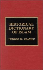 Front cover of The Historical Dictionary of Islam by Ludwig W. Adamec
