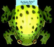 Cover of Frog by Lorella Rizzatti
