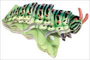 Cover of Caterpillar by Abrams