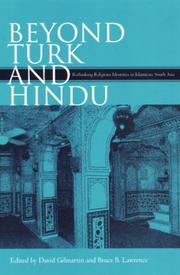 Front cover of Beyond Turk and Hindu by David Gilmartin