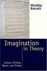 Cover of Imagination in theory by Michèle Barrett