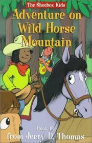Front cover of Adventure on Wild Horse Mountain by Eric D. Stoffle