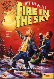 Front cover of Mystery of the Fire in the Sky (Mystery Solvers) by Alane Ferguson