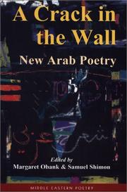 Front cover of A crack in the wall by Margaret Obank
