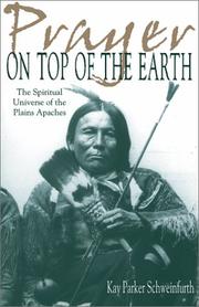 Front cover of Prayer on Top of the Earth by Kay Parker Schweinfurth