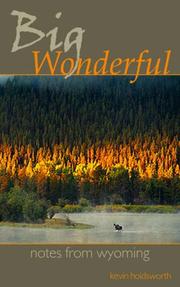 Cover of Big Wonderful by Kevin Holdsworth