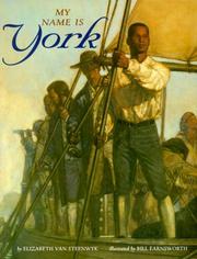 Cover of My Name Is York by Elizabeth Van Steenwyk