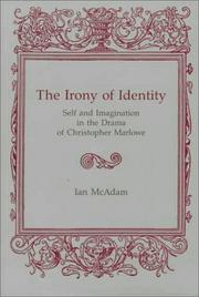 Front cover of The irony of identity by Ian McAdam