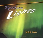 Cover of Northern lights by D. M. Souza