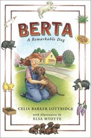 Cover of Berta by Celia Barker Lottridge