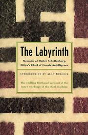 Cover of The Labyrinth by Walter Schellenberg