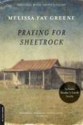 Front cover of Praying for Sheetrock by Melissa Fay Greene