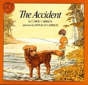 Cover of The Accident by Carol Carrick