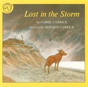Cover of Lost in the Storm by Carol Carrick