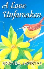 Front cover of A Love Unforsaken by Brenda Meister