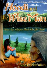 Front cover of Hoodi and the Wise Man by Jim W. Spears