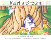 Front cover of Meri's Dream by Jan Albach Jewell