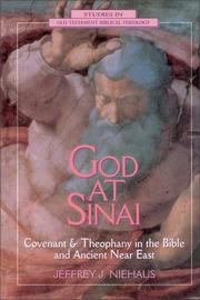 Front cover of God at Sinai by Jeffrey Jay Niehaus