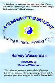 Front cover of A Glimpse of the Big Light by Harvey Franklin Wasserman