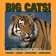 Cover of Big cats! by Patricia Corrigan