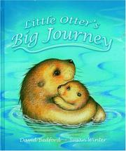 Front cover of Little Otter's Big Journey by David Bedford