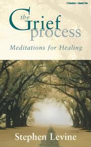 Cover of The Grief Process by Stephen Levine - undifferentiated