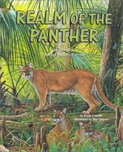 Front cover of Realm of the Panther by Emily Costello