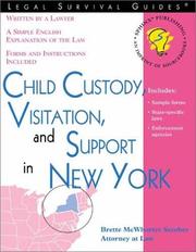 Front cover of Child custody, visitation, and support in New York by Brette McWhorter Sember