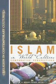Front cover of Islam in World Cultures by R. Michael Feener