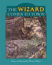 Front cover of The Wizard Comes to Town by Mercer Mayer