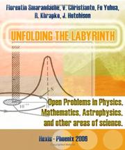 Front cover of Unfolding the Labyrinth by Florentin Smarandache