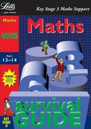 Front cover of Key Stage 3 Survival Guide by Sheila Hunt