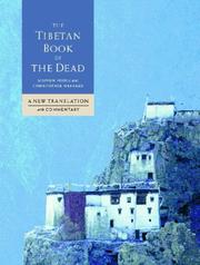 Cover of The Tibetan Book of the Dead by Stephen Hodge