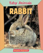 Cover of Rabbit by Angela Royston