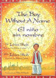 Front cover of The Boy Without a Name/ El Nino Sin Nombre by Idries Shah