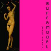 Cover of Supermodel by David Breskin