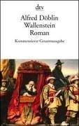 Cover of Wallenstein by Alfred Döblin