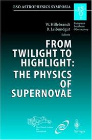 Front cover of From twilight to highlight by Wolfgang Hillebrandt