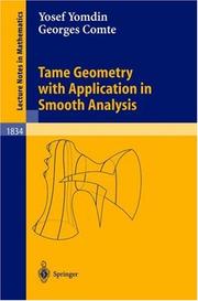 Cover of Tame geometry with application in smooth analysis by Yosef Yomdin