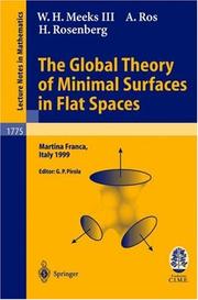 Front cover of The global theory of minimal surfaces in flat spaces by William Meeks