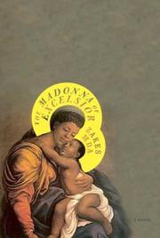 Front cover of The Madonna of Excelsior by Zakes Mda