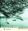 Cover of Bodensee by Hermann Hesse