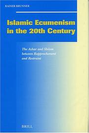 Front cover of Islamic Ecumenism In The 20th Century by Rainer Brunner