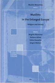 Front cover of Muslims in the Enlarged Europe by Brigitte Marechal